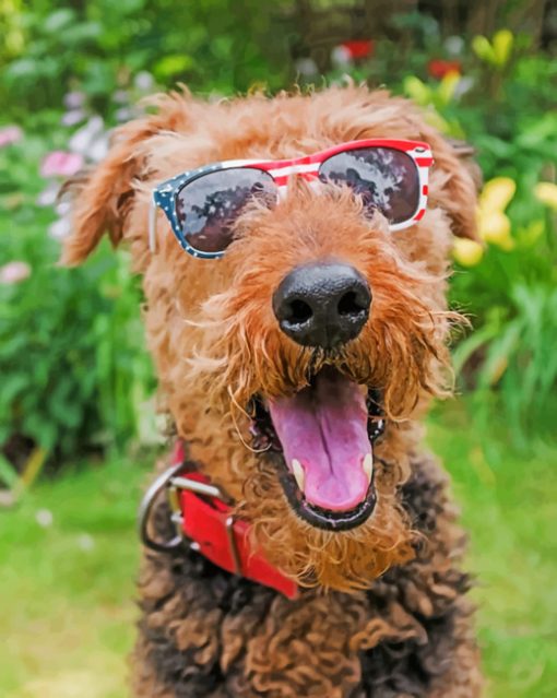 Cool Airedale Terrier paint by numbers