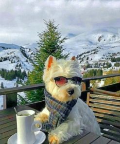 Cool Westie paint by numbers