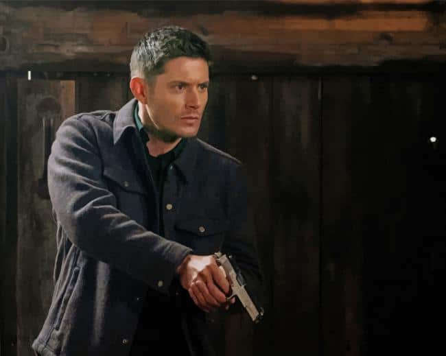 Dean Winchester Paint by numbers