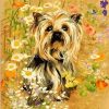 The Yorkshire Terrier Dog Paint by numbers
