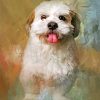 Fluffy Shih Tzu Paint by numbers