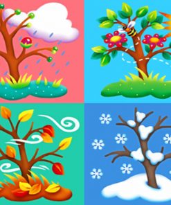 Four Seasons Weather paint by numbers