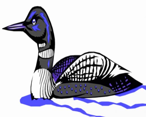American Loon paint by numbers