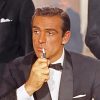 James Bond Smoking Paint by numbers