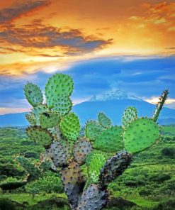 Mexican Cactus Paint by numbers