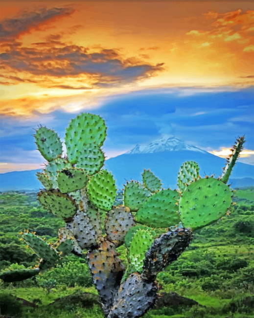 Mexican Cactus Paint by numbers
