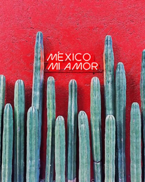 Mexico Mi Amor Paint by numbers