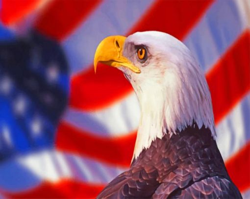 Patriotic Eagle Bird paint by numbers