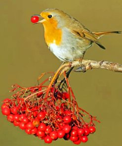 Robin Eating paint by numbers