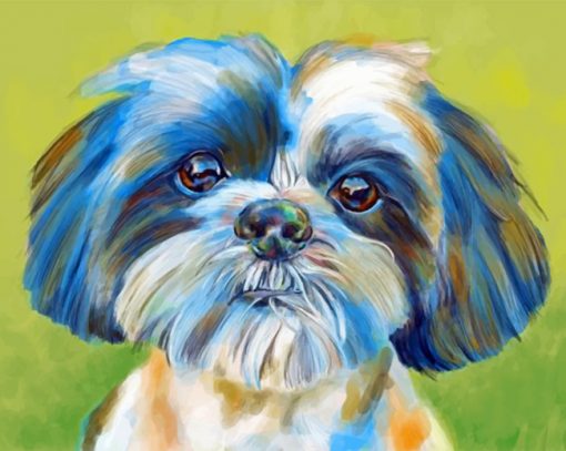 Shih Tzu Pet Paint by numbers