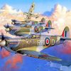 Spitfires Paint by numbers