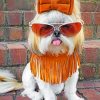 Stylish Shih Tzu Paint by numbers