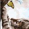 Butterfly And Cat Paint by numbers