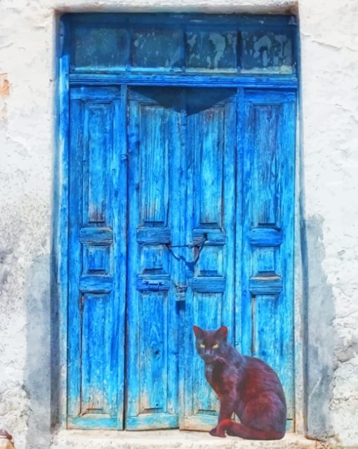 Black Cat And Blue Door paint by numbers