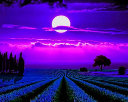 Lavender Fields Moonlight Piant by numbers