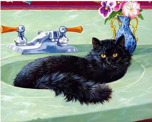 Black Cat In A Bath Paint by numbers