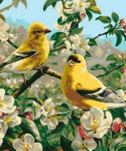 Goldfinch Bird paint by numbers