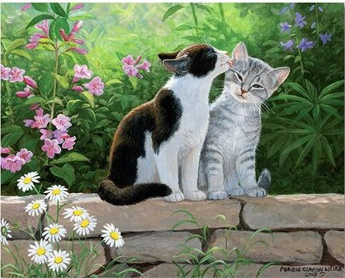 Cat Kissing Paint by numbers