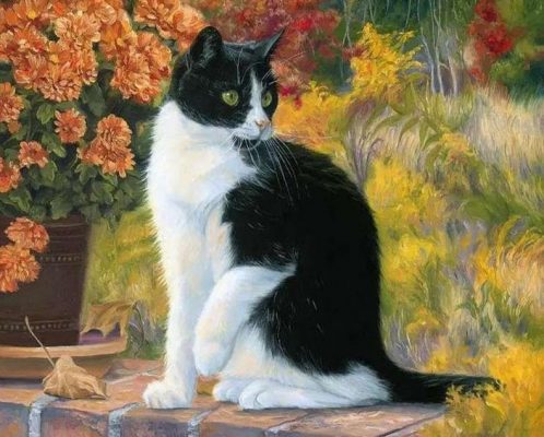 Black And White Cat Paint by numbers