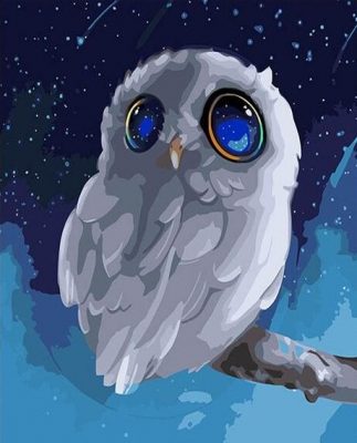 Little Blue Eyes Owl Paint by numbers