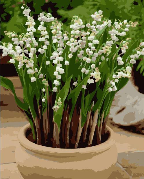 Lily Of the Valley Paint by numbers