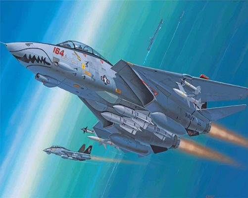 Aesthetic F14 Paint by numbers