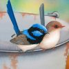 Aesthetic Blue Wren And Brown Bird paint by numbers