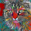 Aesthetic Abstract Cat Paint by numbers