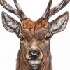 Aesthetic Deer Head Paint by numbers
