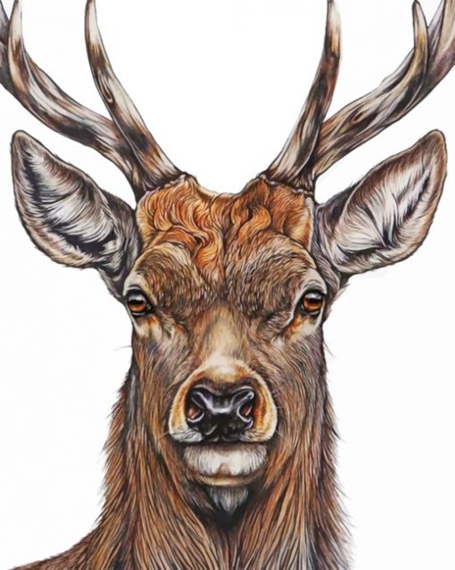 Aesthetic Deer Head Paint by numbers