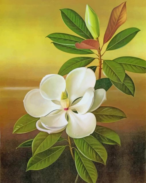 White Magnolia paint by numbers