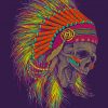 Native Skull Paint by numbers