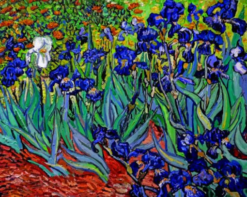 Aesthetic Van Gogh Irises paint by numbers