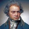 Beethoven Portrait paint by numbers