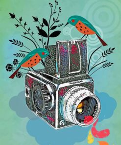 Birds And Camera Illustration paint by numbers