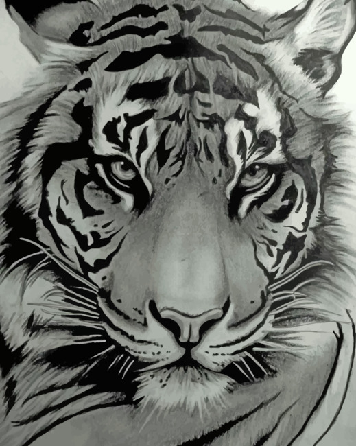 Monochrome Tiger - Paint By Number - Num Paint Kit