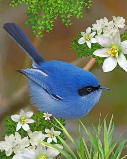 Blue Fairy Wren Paint by numbers
