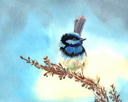 Blue Fairy Wren Paint by numbers