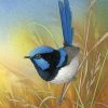 Blue Wren Bird Paint by numbers