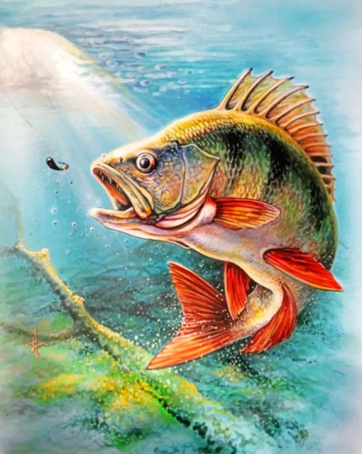 Carp Fish paint by numbers
