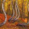 Curved Aspen Trees paint by numbers