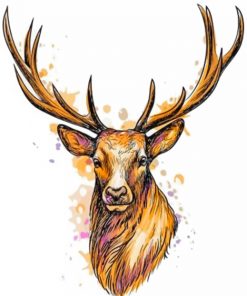Deer Head paint by numbers