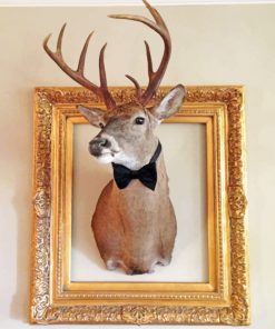 Deer Head Paint by numbers