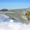 F14 Airplane Paint by numbers