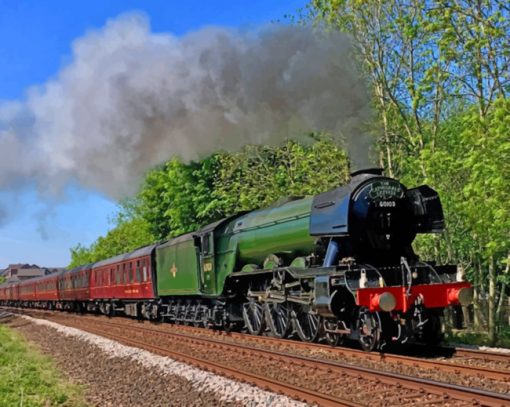Flying Scotsman Train Paint by numbers