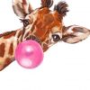 Giraffe Bubble Paint by numbers