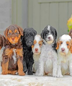 Golden Dooodles Puppies paint by numbers