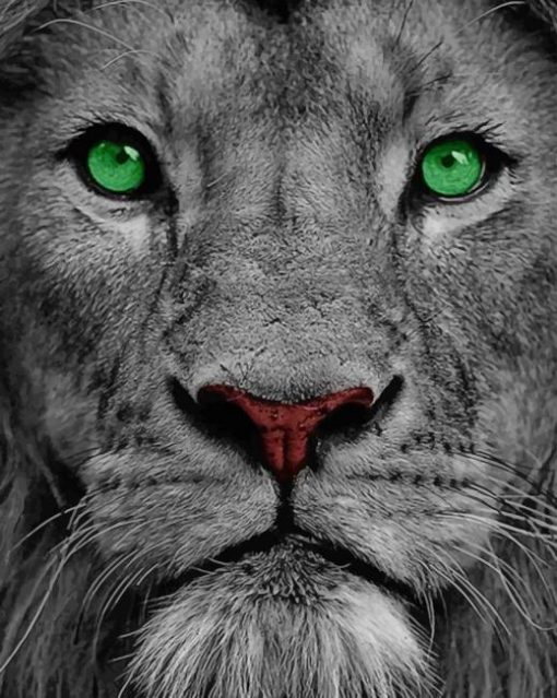 Lion With Green Eyes paint by numbers