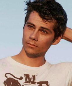 Handsome Dylan O Brien paint by numbers