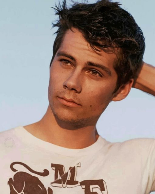 Handsome Dylan O Brien paint by numbers